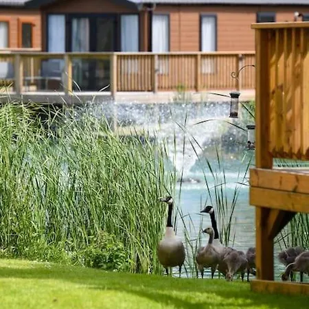 Lakefront 5 Star Country Park Private Fishing Free Parking 5 Malton